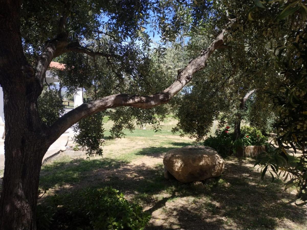 Vacanza In Ogliastra Тертения Экстерьер фото