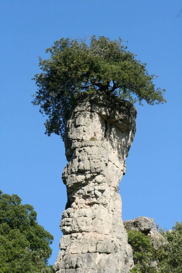 Vacanza In Ogliastra Тертения Экстерьер фото