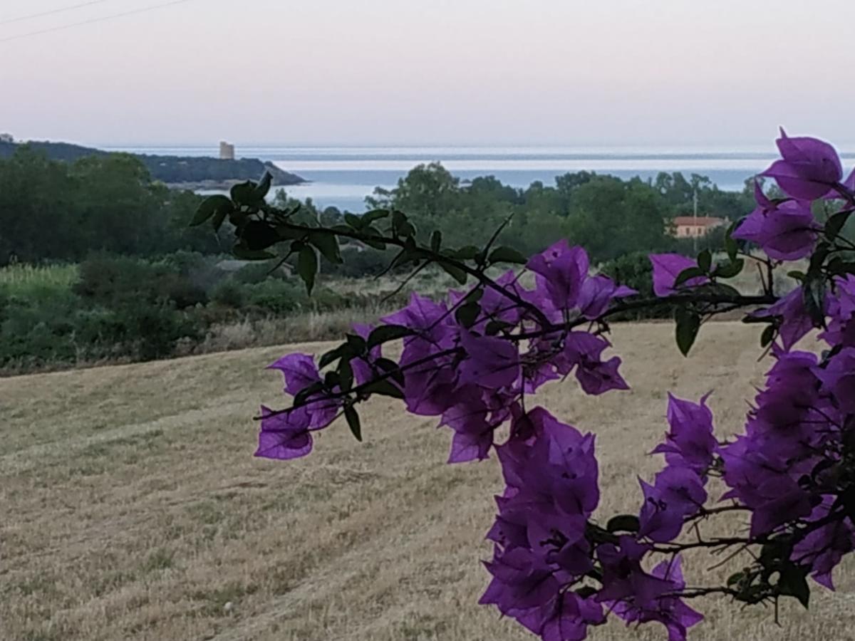 Vacanza In Ogliastra Тертения Экстерьер фото